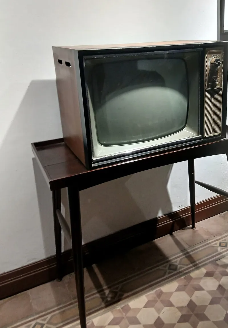 Appointment Television Is Back and Gen Z Is the One Watching It