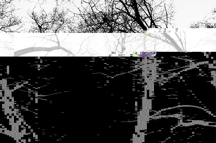 Why We Can't Stop Watching Things Fall Apart: The Rise of Glitch as High Art